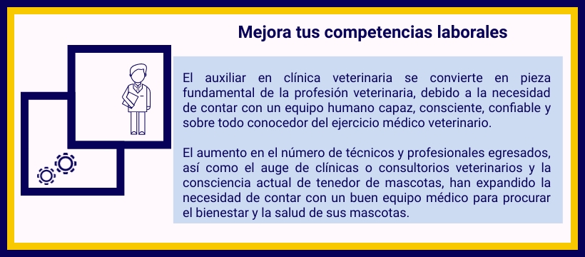 Presentación SVV